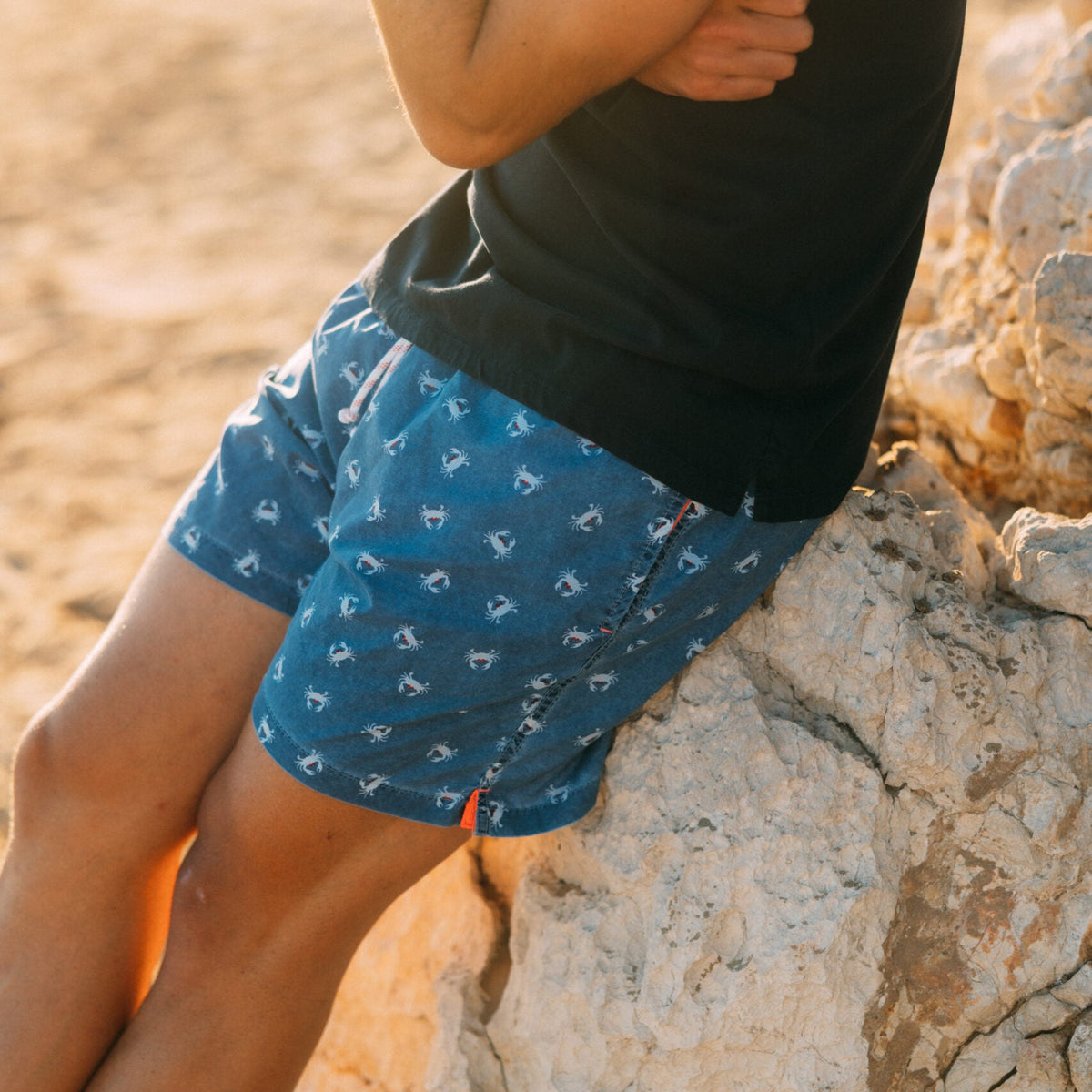 Boxer mare | Gerry St. Trope - PMC Portici

