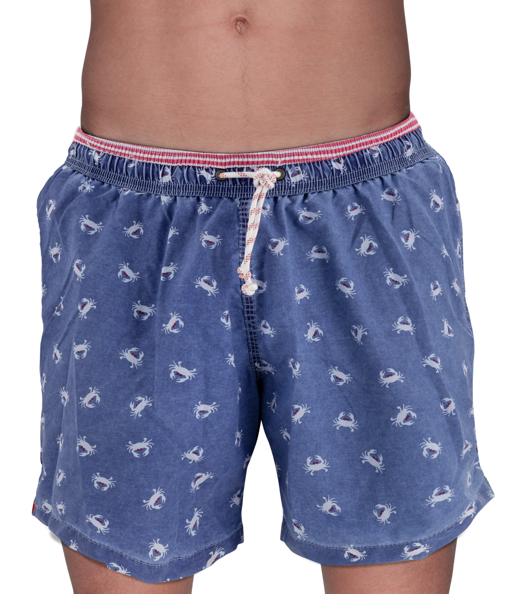 Boxer mare | Gerry St. Trope - PMC Portici

