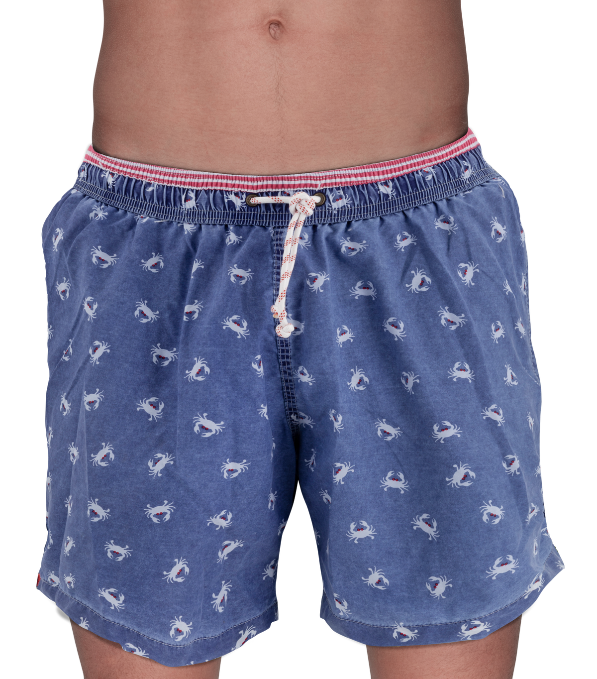 Boxer mare | Gerry St. Trope - PMC Portici


