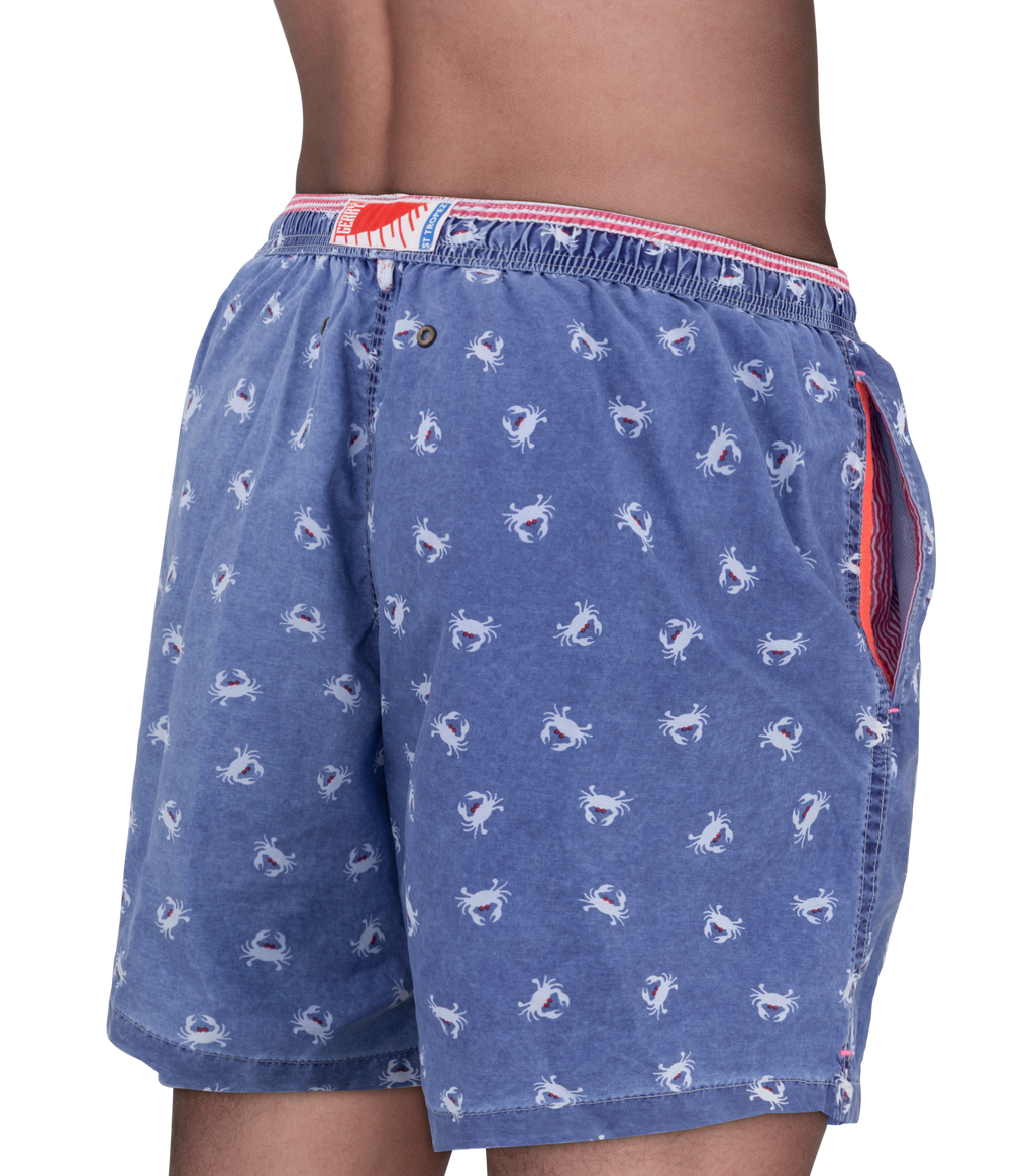 Boxer mare | Gerry St. Trope - PMC Portici

