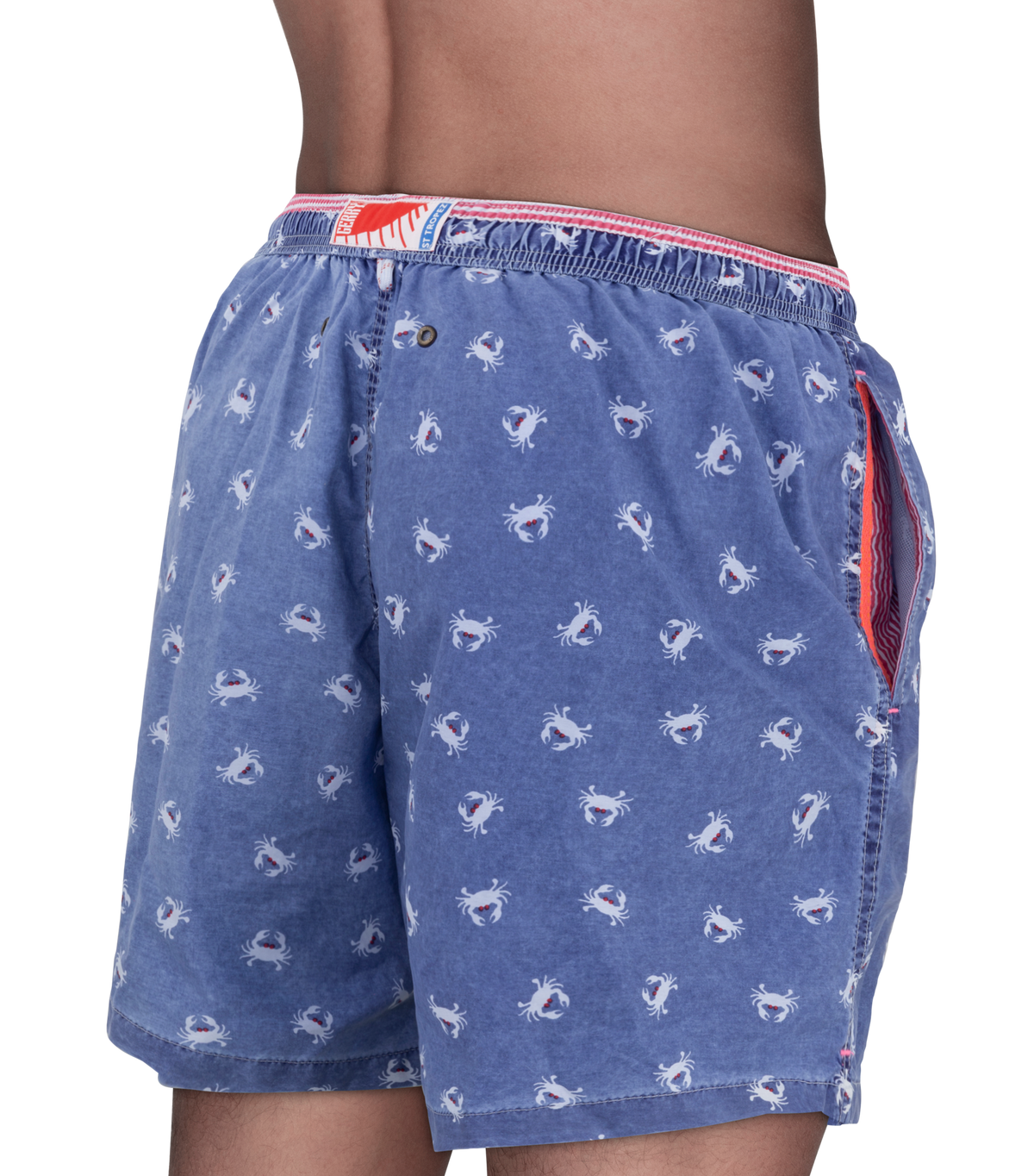 Boxer mare | Gerry St. Trope - PMC Portici

