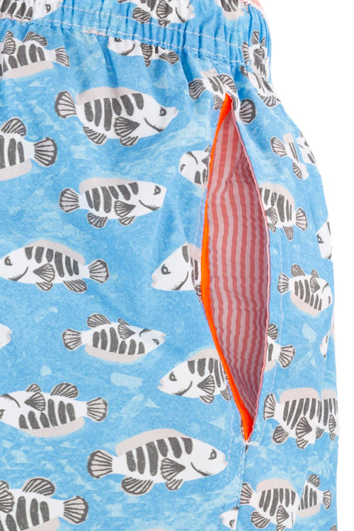 Boxer da mare pesci | Gerry St. Tropez - PMC Portici