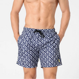 Boxer Mare Balene | Perofil - PMC Portici