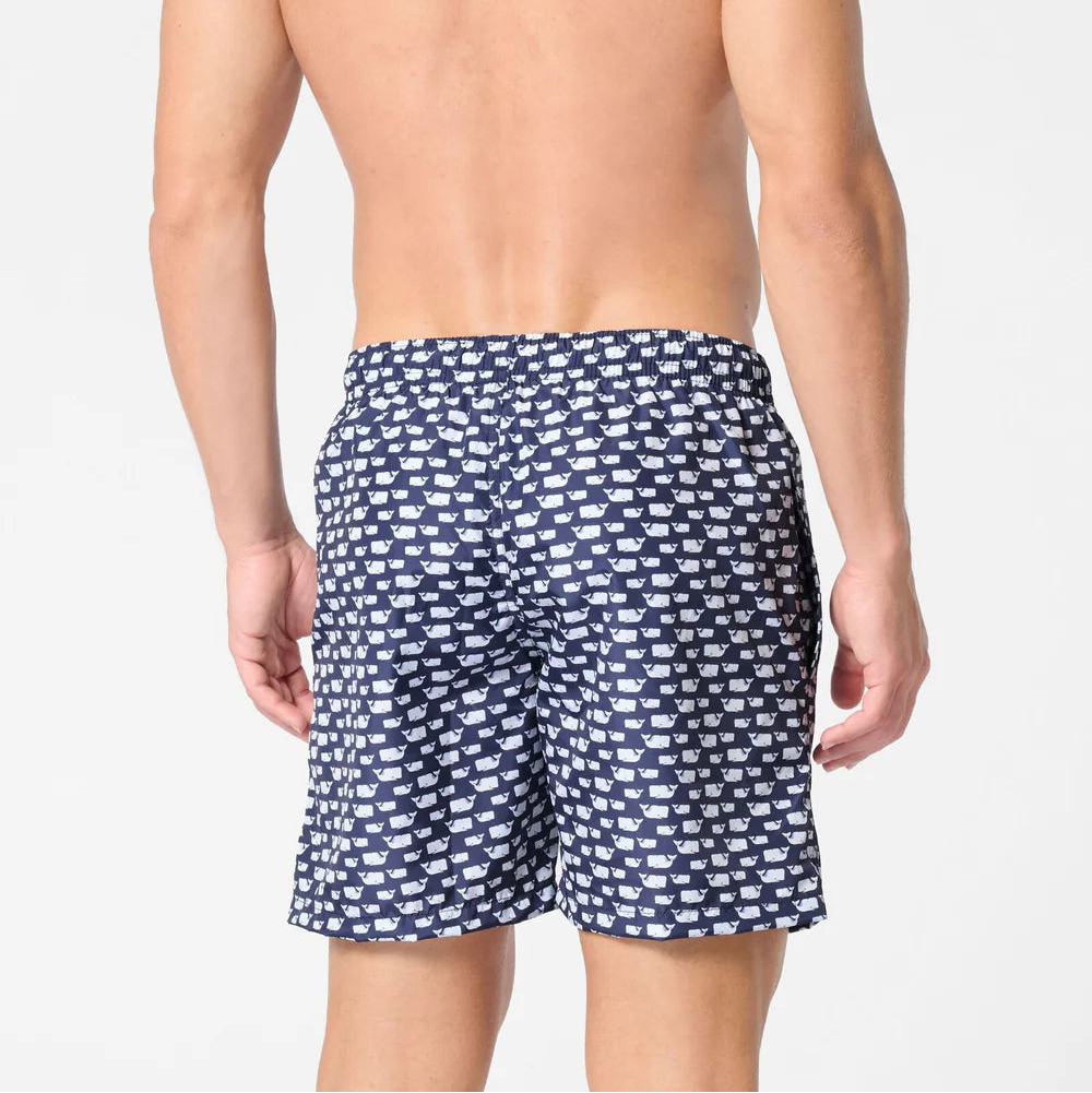 Boxer Mare Balene | Perofil - PMC Portici