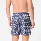 Boxer Mare Balene | Perofil - PMC Portici