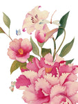 Canovaccio Peony | The Napking - PMC Portici